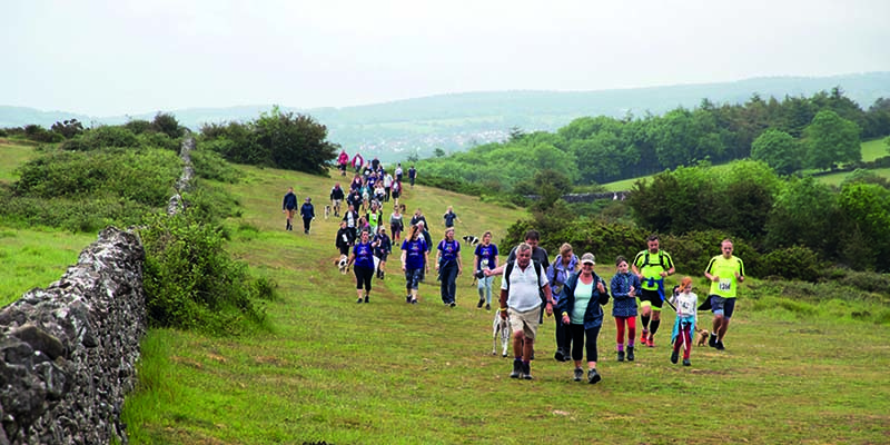 The Mendip Challenge