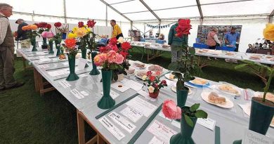 Clevedon Flower Show