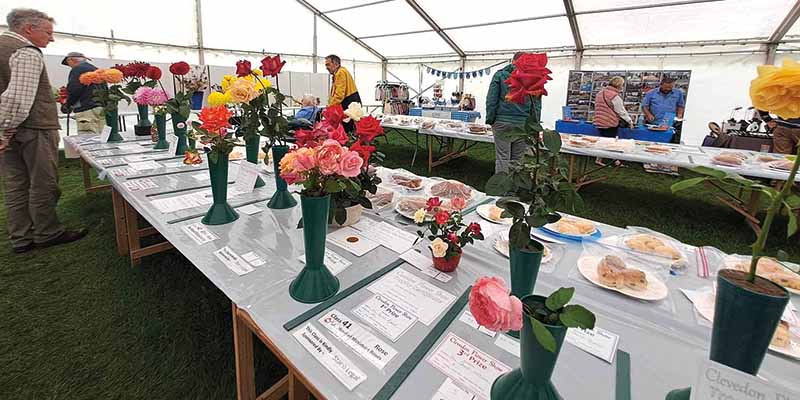 Clevedon Flower Show