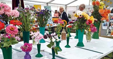 The 126th Clevedon Flower Show