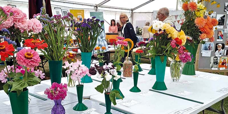 The 126th Clevedon Flower Show