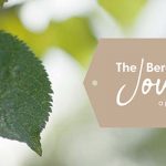 The Bereavement Journey